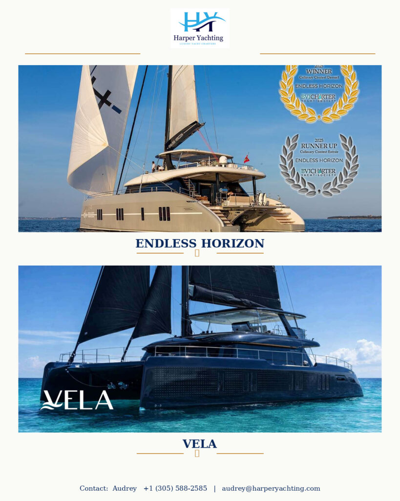 02_Endless_Horizon_Vela