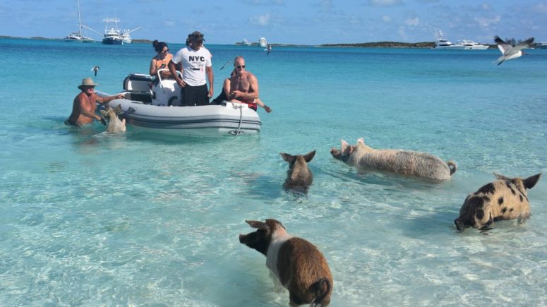 Bahamas-1024x684