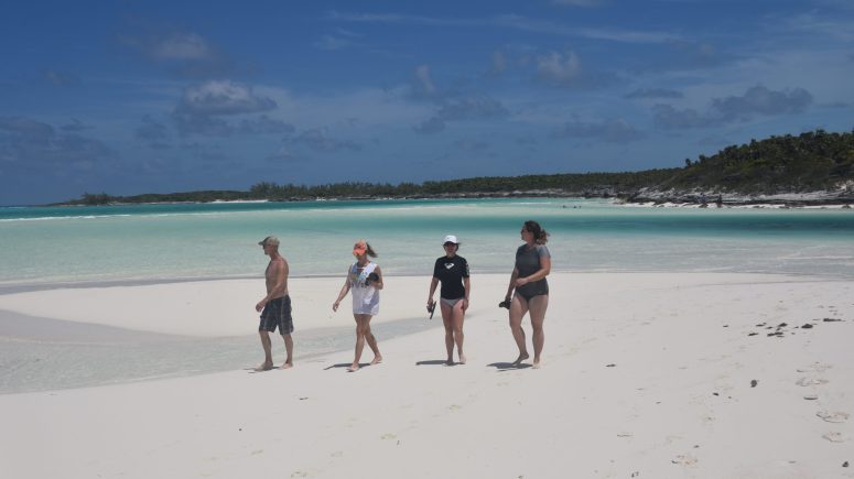 Beachcombing-scaled
